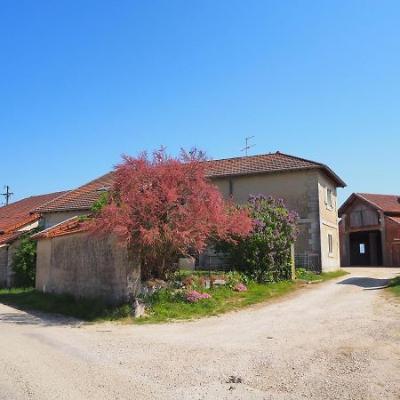 Châtillon-la-Palud Le Gite Du Haut מראה חיצוני תמונה